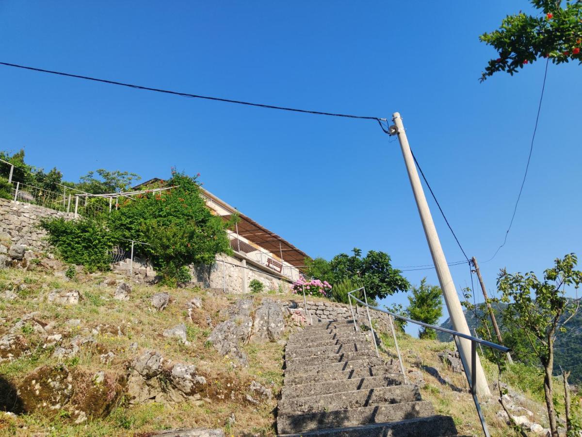 Apartments Lake View Virpazar Ngoại thất bức ảnh